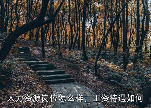 隨州市國創人力資源怎么樣,人力資源崗位怎么樣