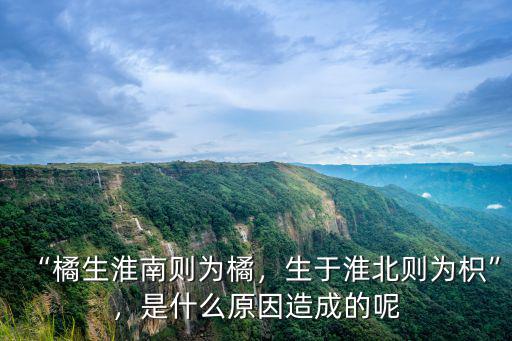 “橘生淮南則為橘，生于淮北則為枳”，是什么原因造成的呢