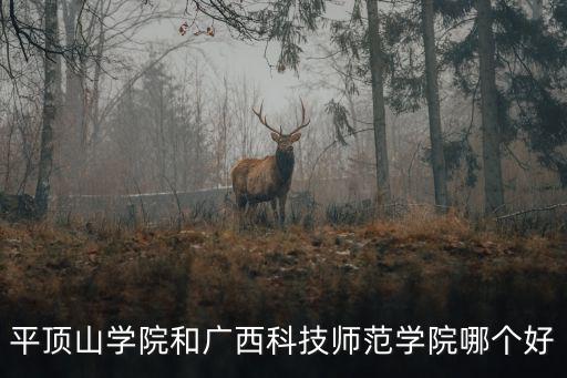 平頂山學(xué)院一共有多少個(gè)院系,平頂山學(xué)院怎么樣