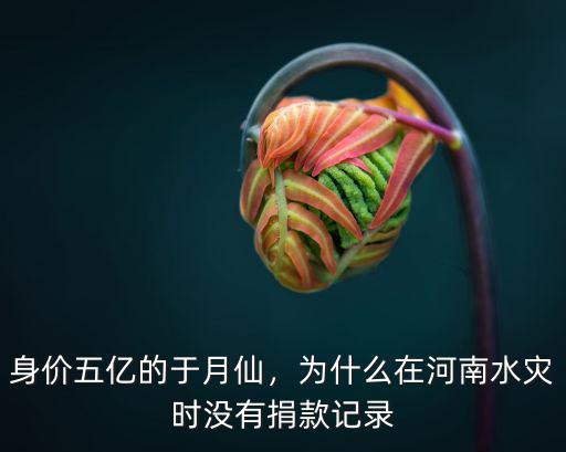 身價五億的于月仙，為什么在河南水災時沒有捐款記錄