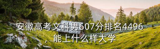 安徽高考文科男607分排名4496，能上什么樣大學