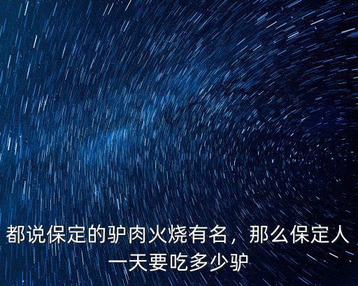保定爐肉火燒多少錢,都說保定的驢肉火燒有名