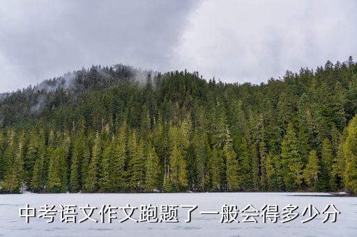 安徽語文中考作文多少分,中考語文作文一般扣多少分