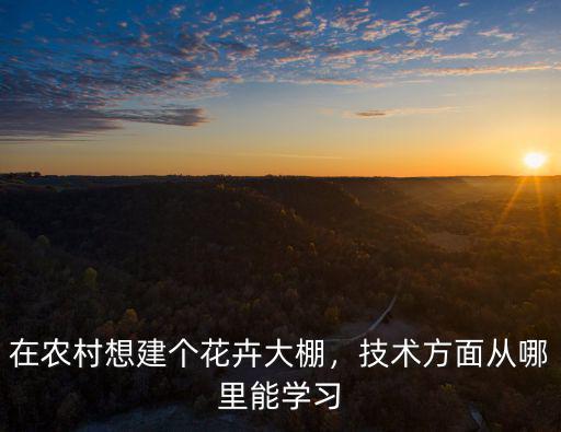 在農村想建個花卉大棚，技術方面從哪里能學習