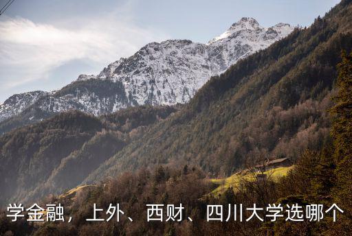 成都哪里學(xué)金融的,還是重慶大學(xué)的金融學(xué)好