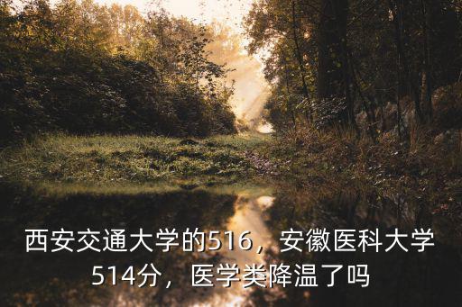 安徽醫科大學得多少分,安徽醫科大學514分