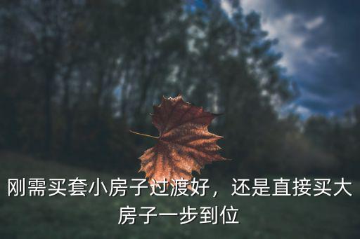 宜賓剛需買哪里的房子比較好,剛需買套小房子過渡好