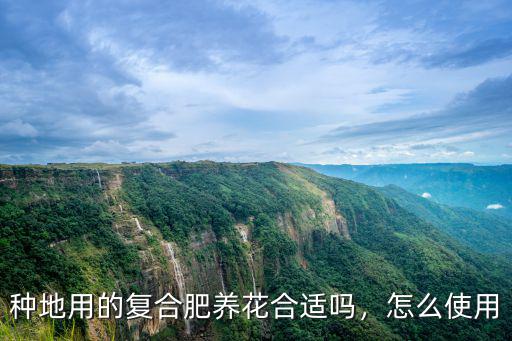 黑色的復合肥養花放多少,種地用的復合肥養花合適嗎