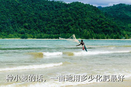 種小麥的話，一畝地用多少化肥最好