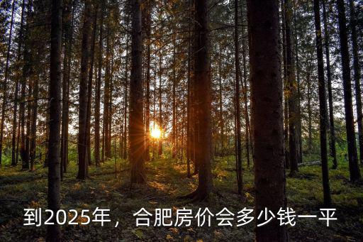 到2025年，合肥房?jī)r(jià)會(huì)多少錢一平