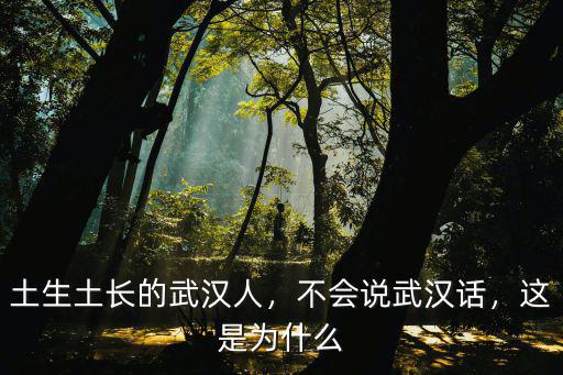 武漢話怎么說bra,不會說武漢話