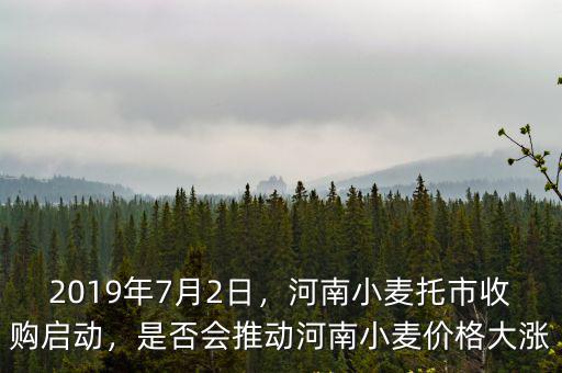河南小麥霉變?cè)趺刺幚?怎么處理才合理