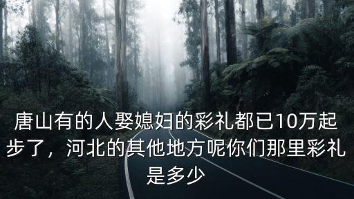 河北冀州結婚給多少彩禮,娶媳婦一般給多少彩禮