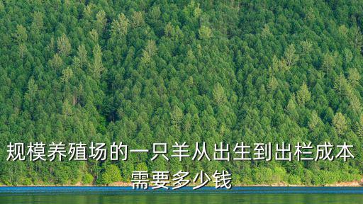規模養殖場的一只羊從出生到出欄成本需要多少錢