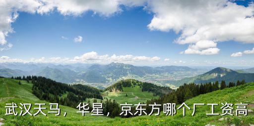 京東方武漢會(huì)計(jì)待遇怎么樣,武漢京東方的待遇怎么樣
