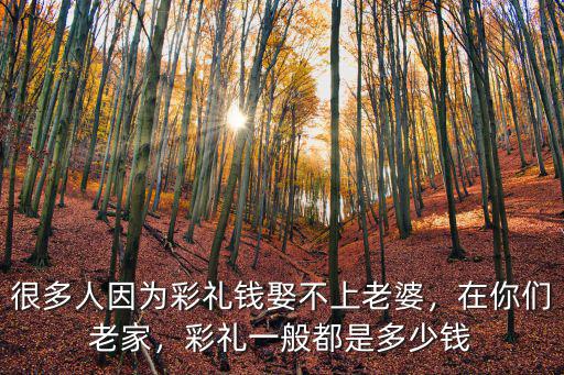 合肥長(zhǎng)豐結(jié)婚彩禮錢是多少,合肥結(jié)婚一般彩禮要多少