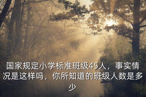 國家規(guī)定小學(xué)標(biāo)準(zhǔn)班級45人，事實情況是這樣嗎，你所知道的班級人數(shù)是多少