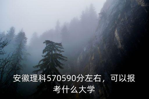 安徽報(bào)考天津大學(xué)多少分,多少分能進(jìn)天津大學(xué)