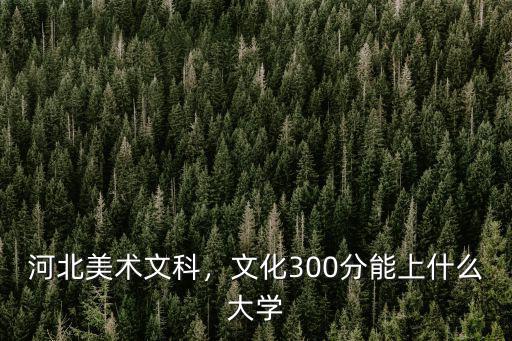 河北美術(shù)文科，文化300分能上什么大學(xué)