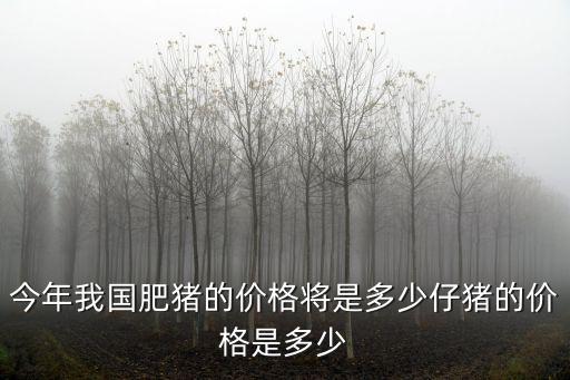 河北保定活豬價格是多少錢一斤,仔豬的價格是多少