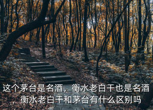 衡水老白干多少年了歷史,衡水老白干也是名酒