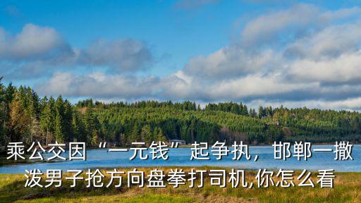 乘公交因“一元錢”起爭執，邯鄲一撒潑男子搶方向盤拳打司機,你怎么看