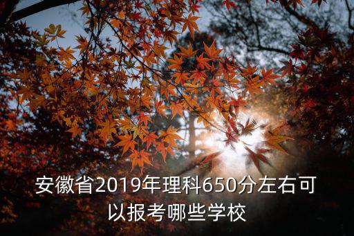安徽省2019年理科650分左右可以報(bào)考哪些學(xué)校