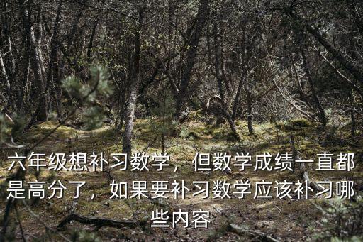六年級想補習數學，但數學成績一直都是高分了，如果要補習數學應該補習哪些內容
