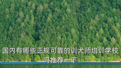 四川哪里有訓犬師培訓學校,訓狗師培訓學校哪家好