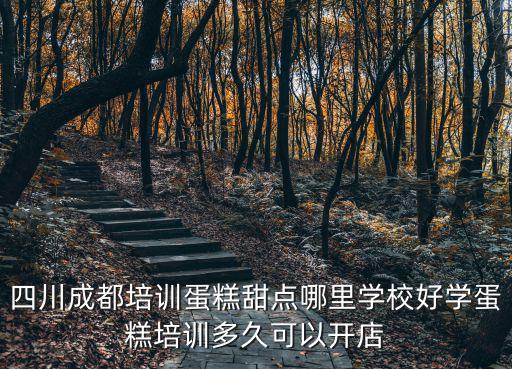 成都哪里可以學(xué)到烘焙蛋糕,四川成都蛋糕技術(shù)培訓(xùn)哪里好