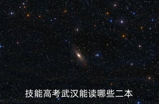 技能高考武漢能讀哪些二本