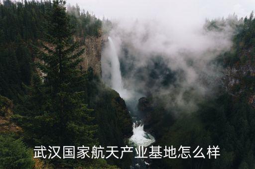 武漢國家航天產業基地怎么樣