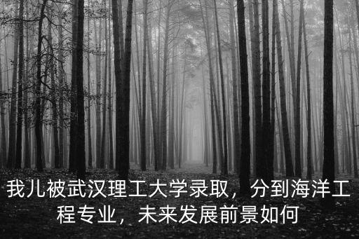 武漢理工大學(xué)海洋工程類船舶與海洋怎么樣,分到海洋工程專業(yè)