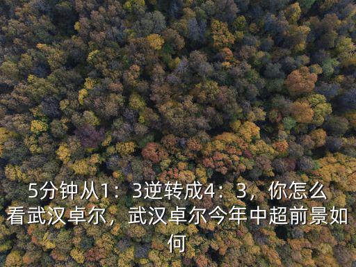 5分鐘從1：3逆轉成4：3，你怎么看武漢卓爾，武漢卓爾今年中超前景如何