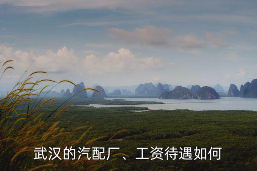 武漢祥鑫達汽配廠招聘工資怎么樣,武漢東風汽配廠待遇怎么樣