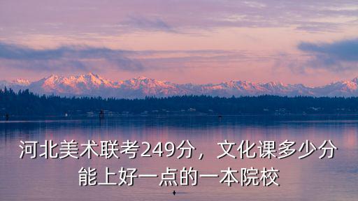 河北美術聯考249分，文化課多少分能上好一點的一本院校