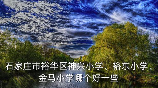 石家莊市裕華區神興小學、裕東小學、金馬小學哪個好一些