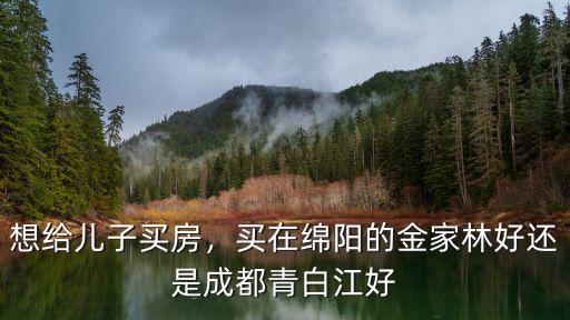 在綿陽投資買房最好買在哪里,四川綿陽現(xiàn)在適合買房嗎