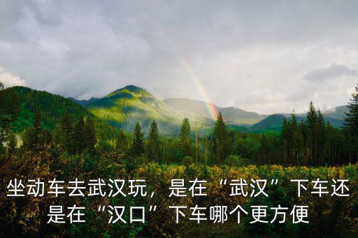 武漢漢口做動車怎么做,坐動車去武漢玩