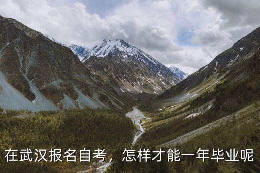 怎么申請湖北自考畢業(yè),自考畢業(yè)論文怎么申請