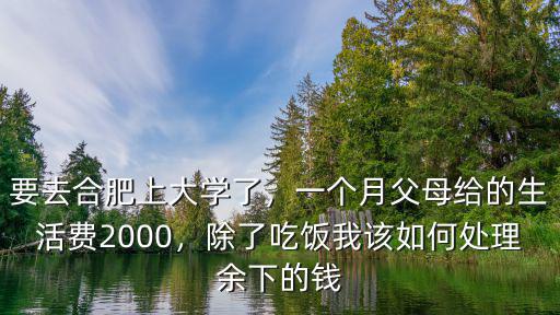 合肥大學生活費一個月多少錢一個月,女生在合肥上大學
