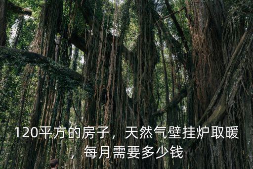 廊坊香河璧掛爐取暖一冬多少錢,壁掛爐取暖一天多少錢