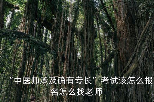“中醫師承及確有專長”考試該怎么報名怎么找老師