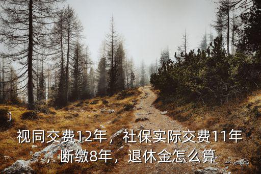 武漢斷繳社保退休金怎么計算,退休金怎么算