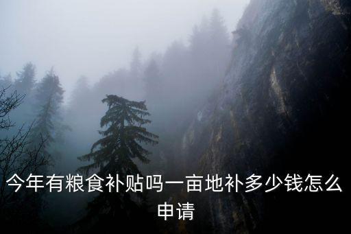 河北唐山糧食補貼一畝地多少錢,一畝地補多少錢