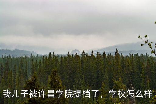 許昌小灶王怎么樣,河南許昌這個城市怎么樣