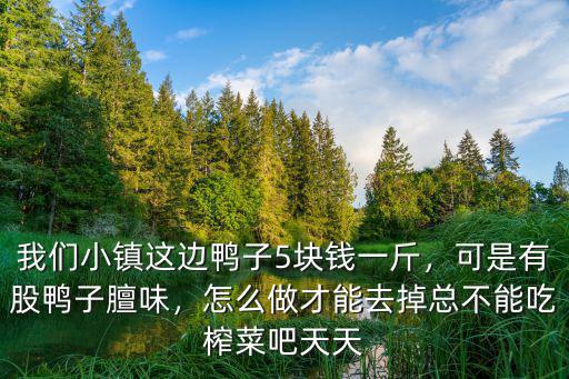 我們小鎮這邊鴨子5塊錢一斤，可是有股鴨子膻味，怎么做才能去掉總不能吃榨菜吧天天