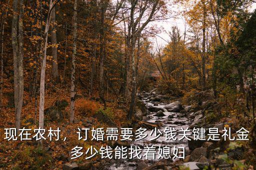 張家口懷安農村結婚彩禮是多少錢,張家口沽源彩禮多少錢