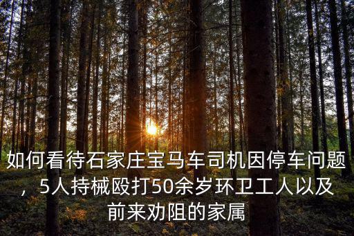 如何看待石家莊寶馬車司機因停車問題，5人持械毆打50余歲環衛工人以及前來勸阻的家屬