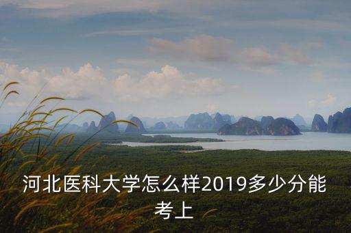2018河北中醫學院多少分錄取,河北2018理科502分
